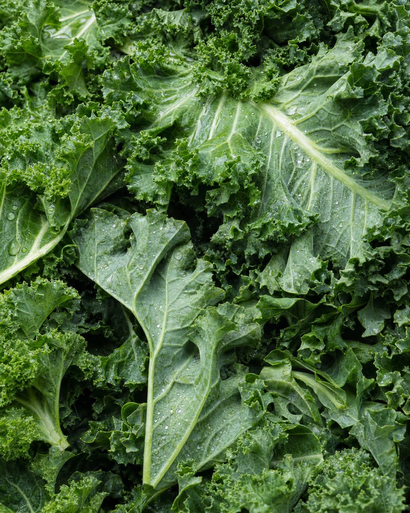 Vitamina K